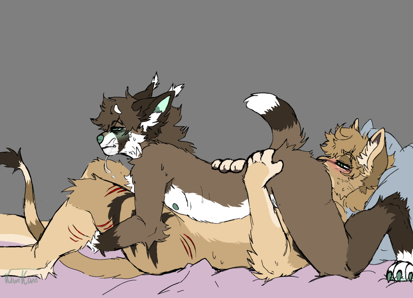 Caracal (Genus) Rule 34 Image