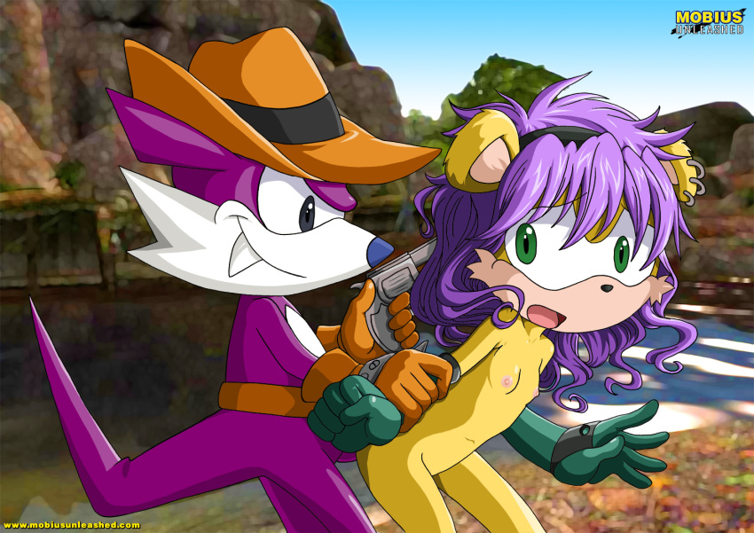 Fang The Hunter (Sega) Rule 34 Image