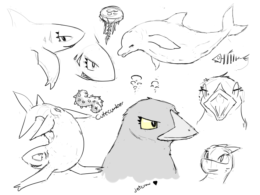 Avian Rule 34 Image