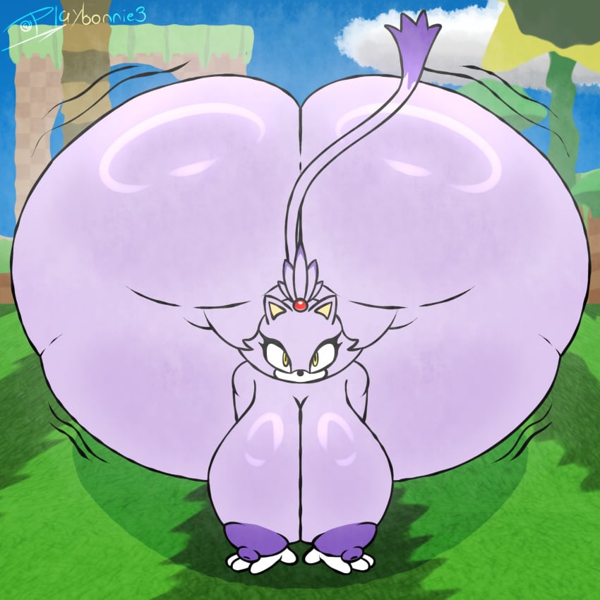 Blaze The Cat (Sega) Rule 34 Image