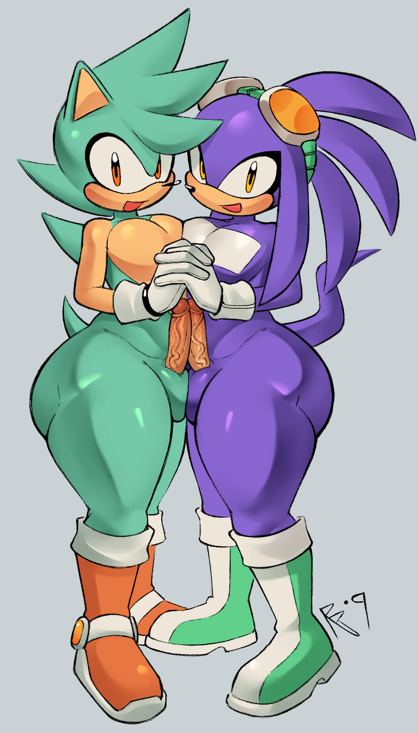 Oc (Sonic (Series)) Rule 34 Image