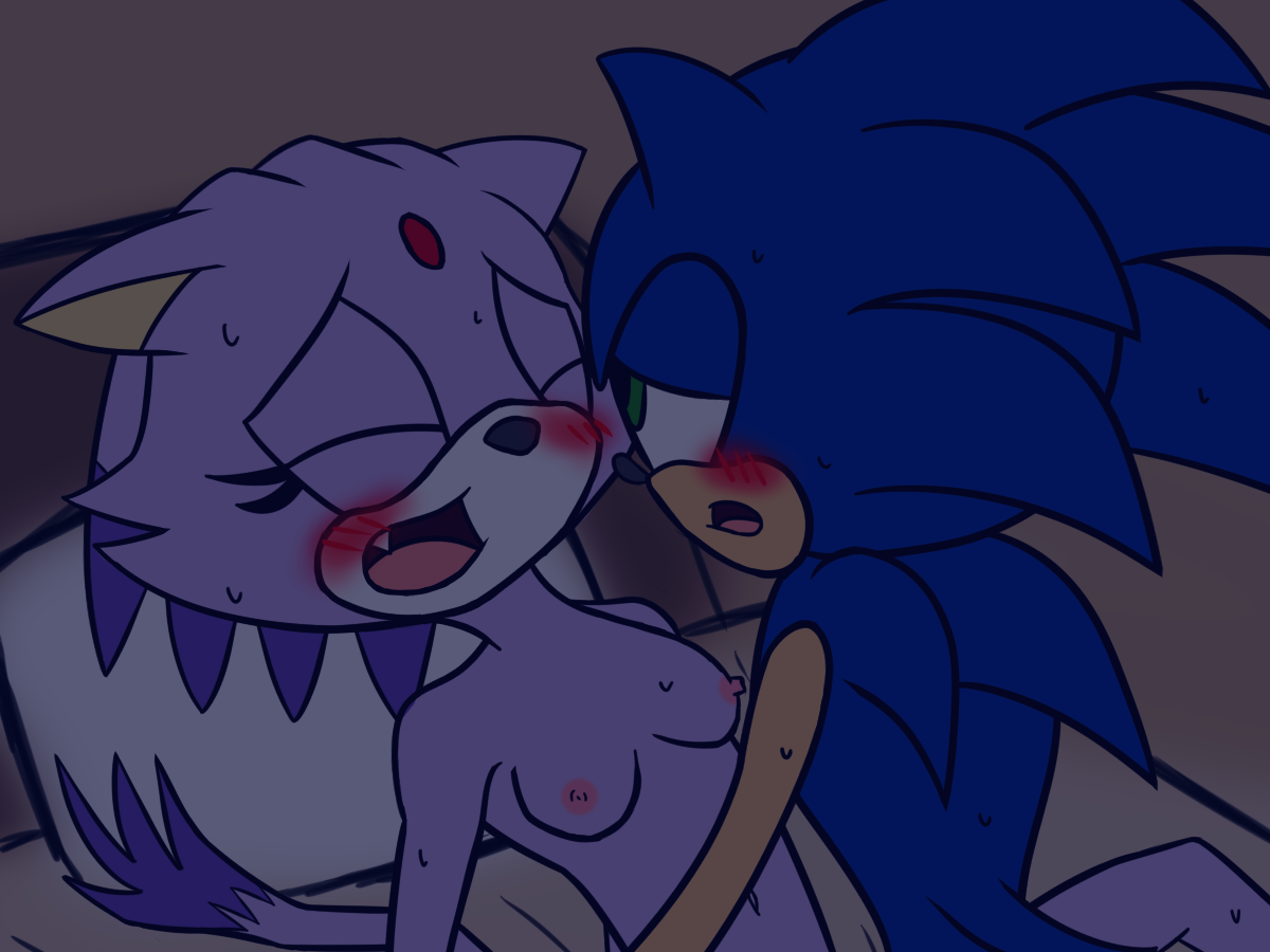Blaze The Cat (Sega) Rule 34 Image