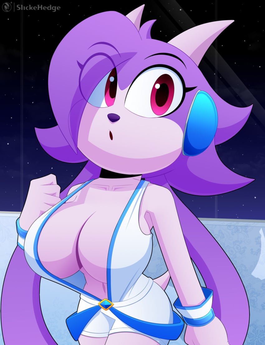 Sash Lilac (Freedom Planet) Rule 34 Image