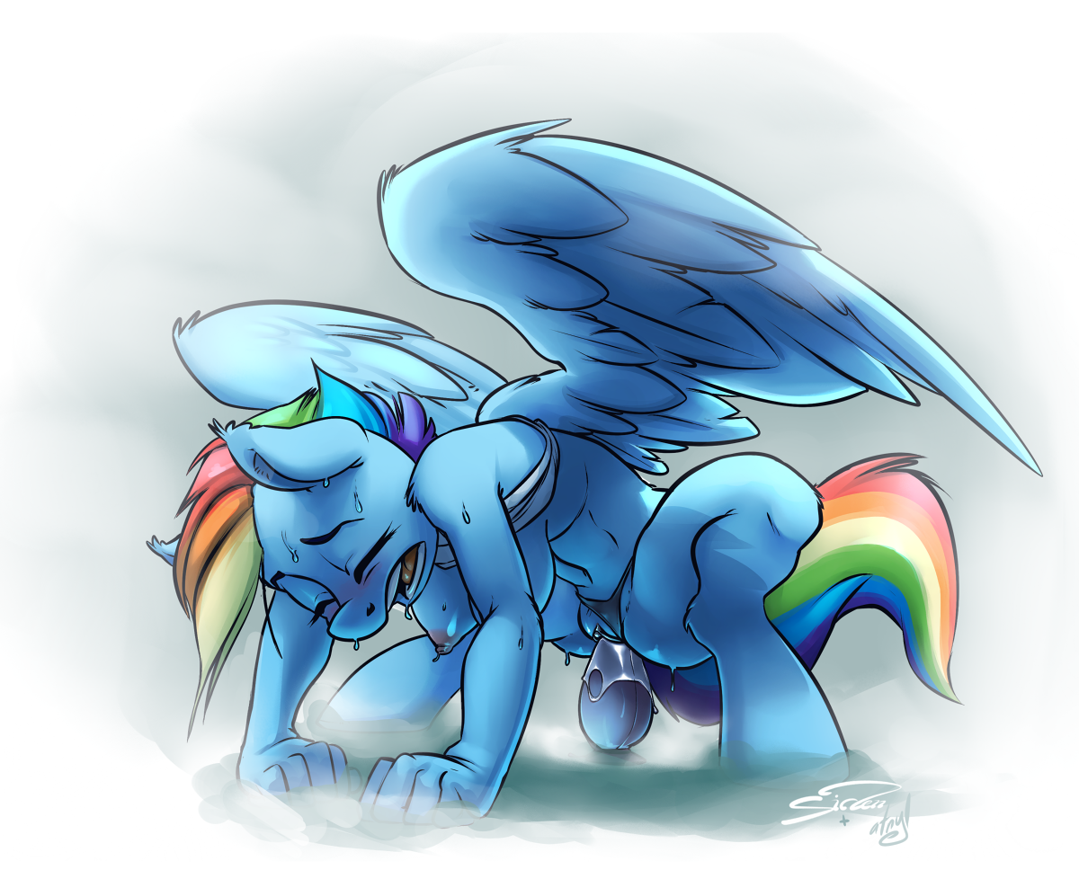 Rainbow Dash (Mlp) Rule 34 Image