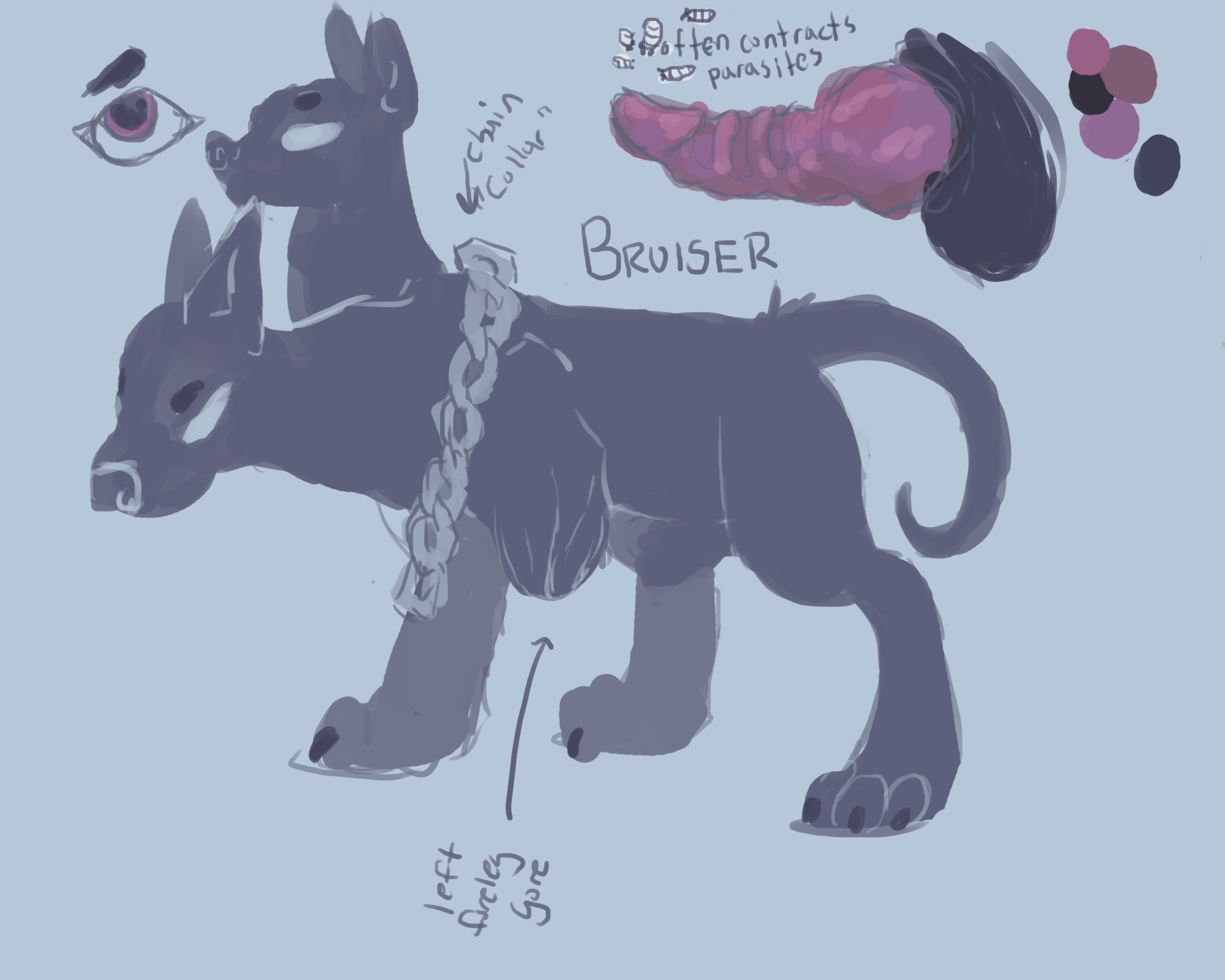 Canine Rule 34 Image