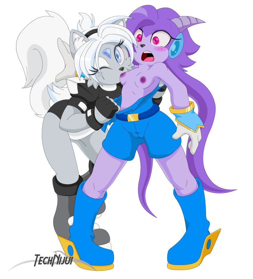 Sash Lilac (Freedom Planet) Rule 34 Image