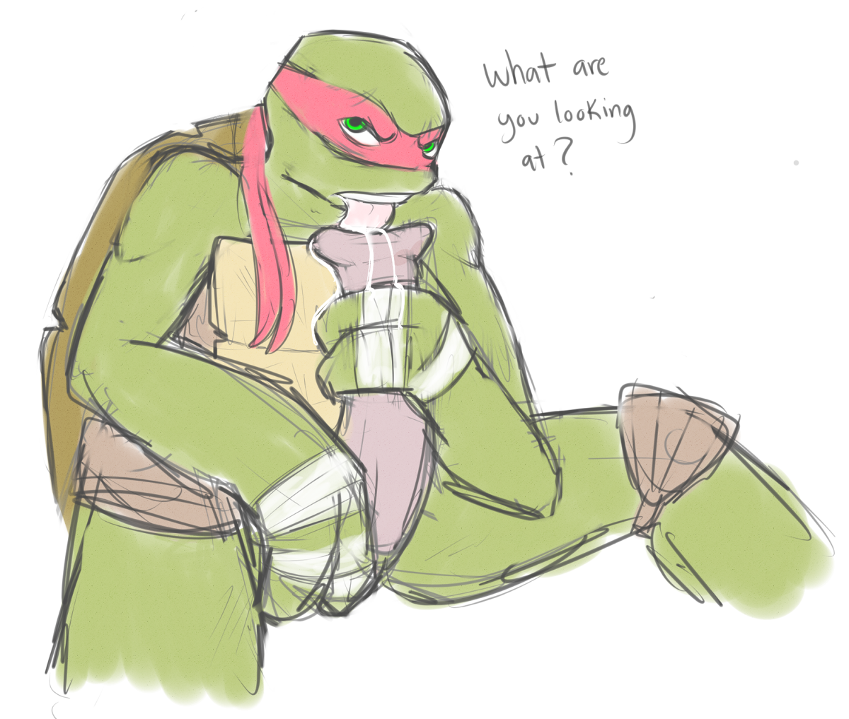 Raphael (Teenage Mutant Ninja Turtles) Rule 34 Image