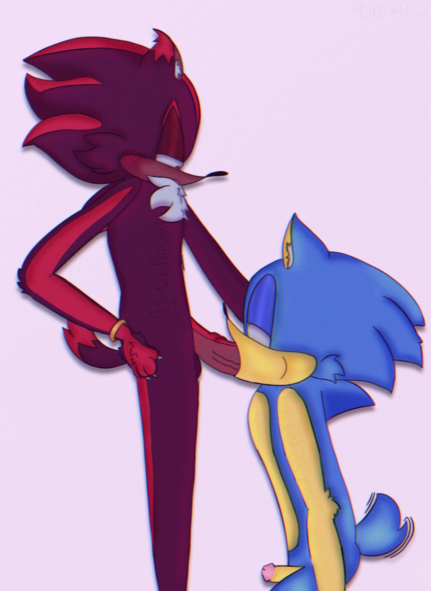 Shadow The Hedgehog (Sonic (Series)) Rule 34 Image