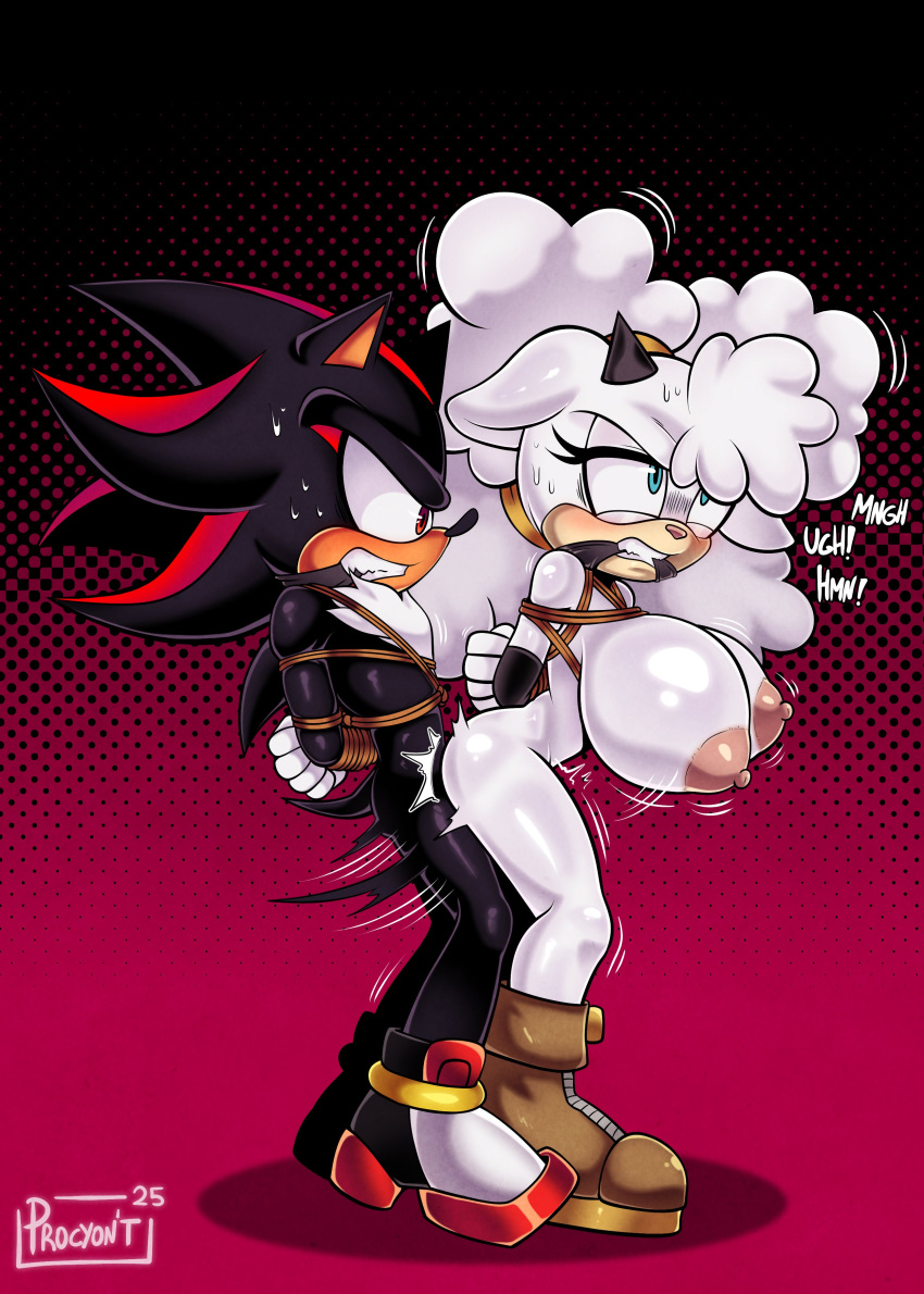 Sonic (Series) Rule 34 Image