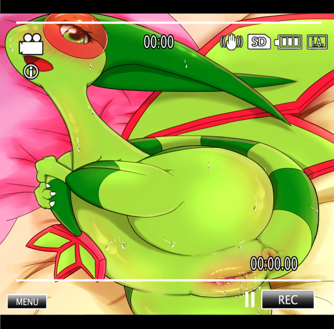 Flygon (Nintendo) Rule 34 Image