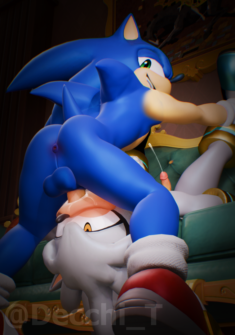 Silver The Hedgehog (Sonic (Series)) Rule 34 Image