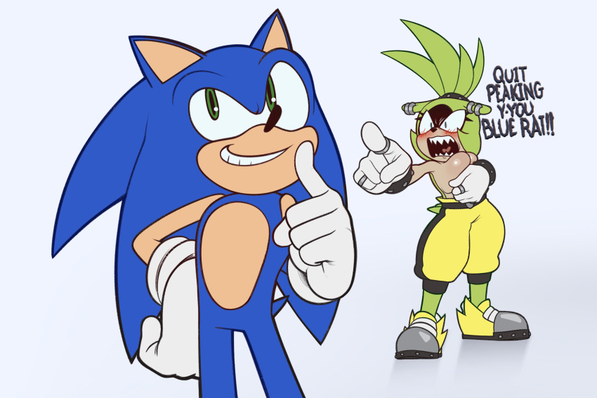 Sonic (Series) Rule 34 Image