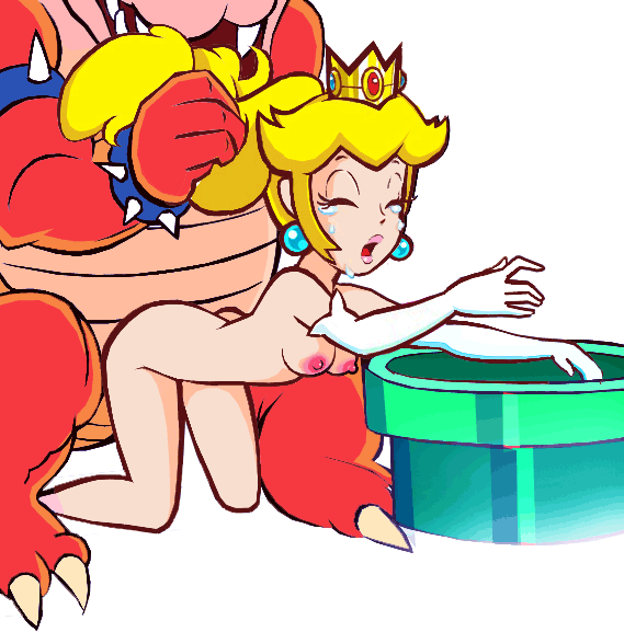 Bowser (Mario (Series)) Rule 34 Image