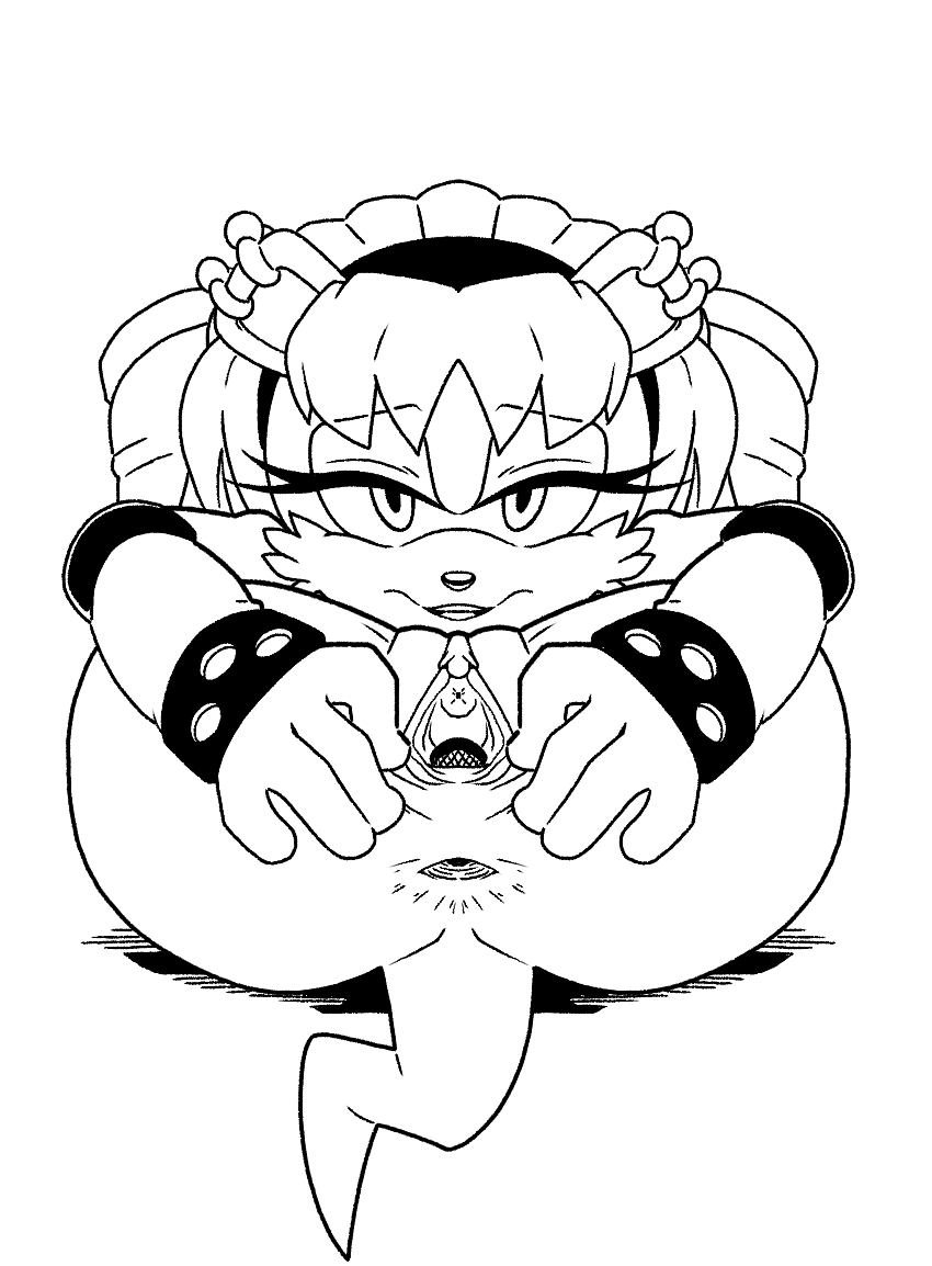 Mina Mongoose (Sonic (Series)) Rule 34 Image