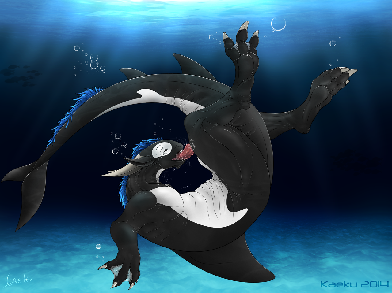 Cetacean Rule 34 Image