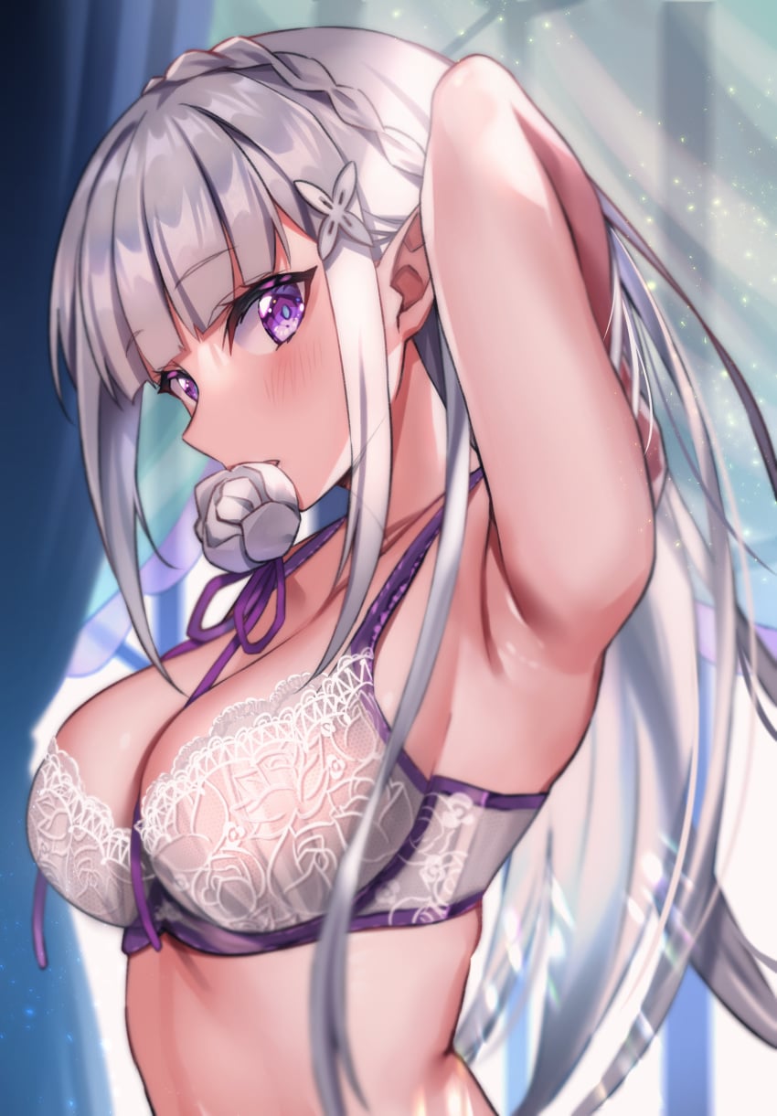 Emilia (Re:Zero) Rule 34 Image