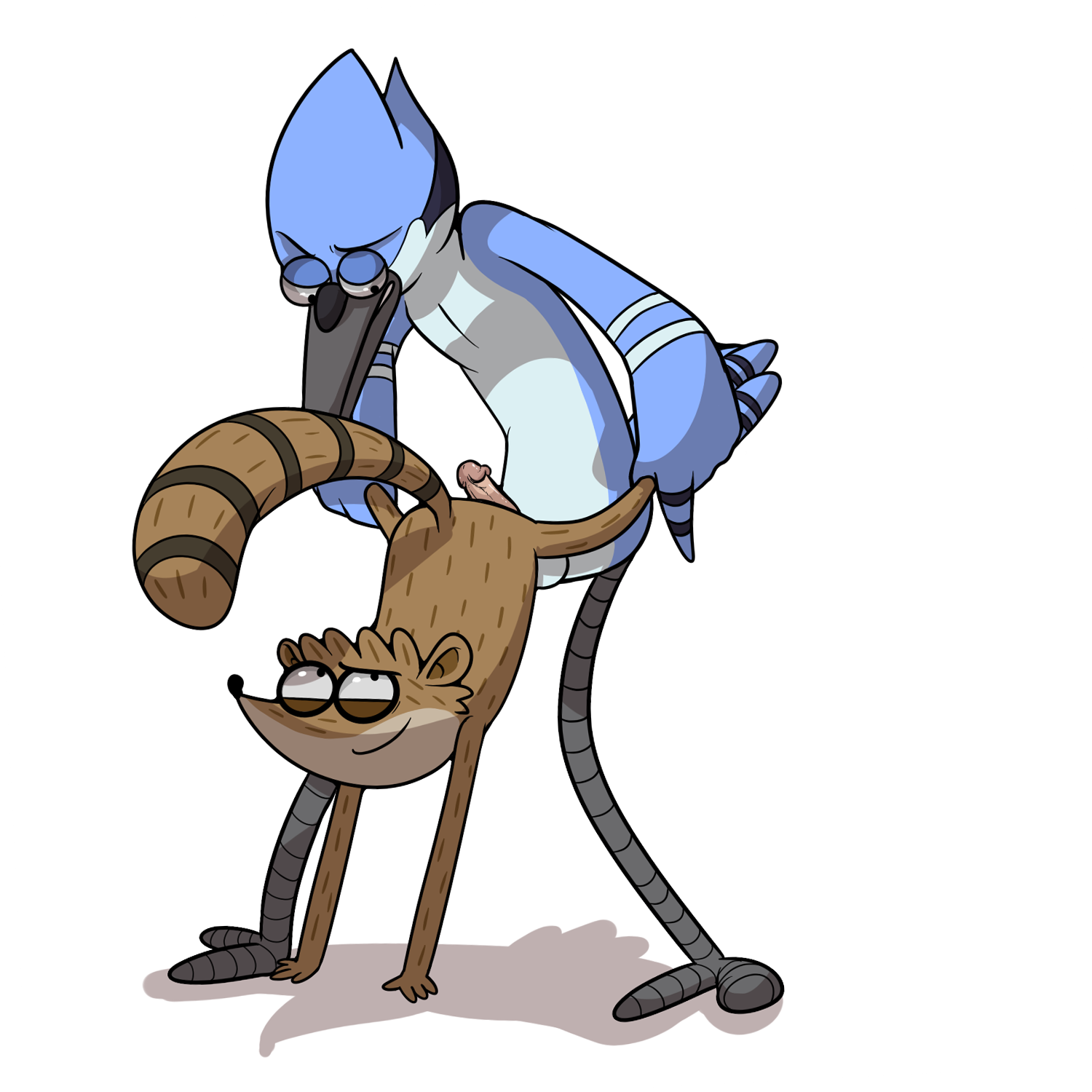 Mordecai (Regular Show) Rule 34 Image