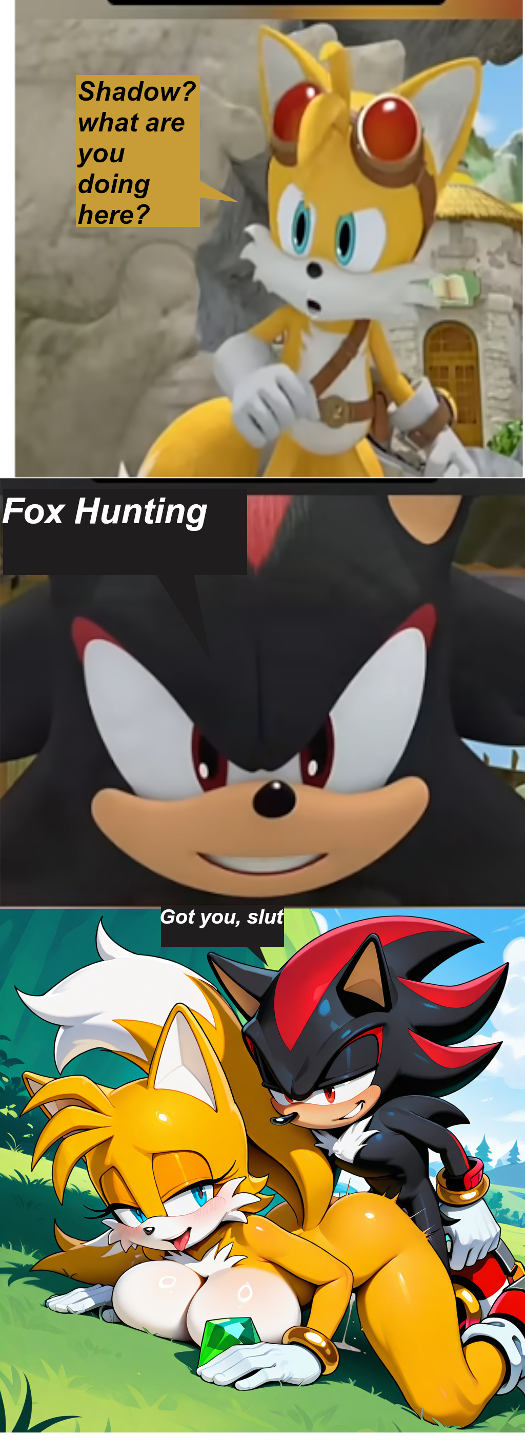 Sonic (Series) Rule 34 Image