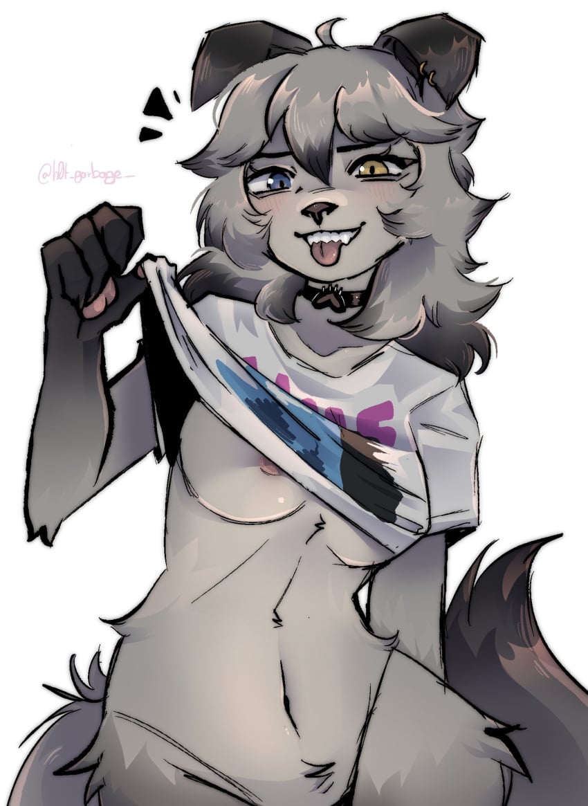 Wolfie (Fortnite) Rule 34 Image