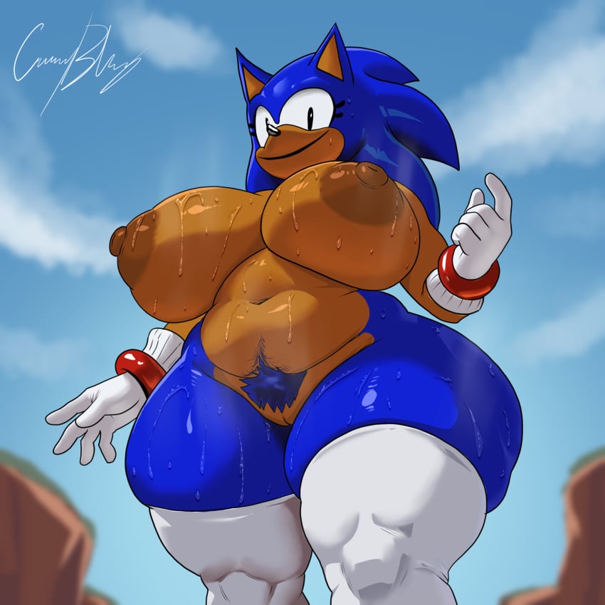 Rewrite (Sonic.Exe) Rule 34 Image