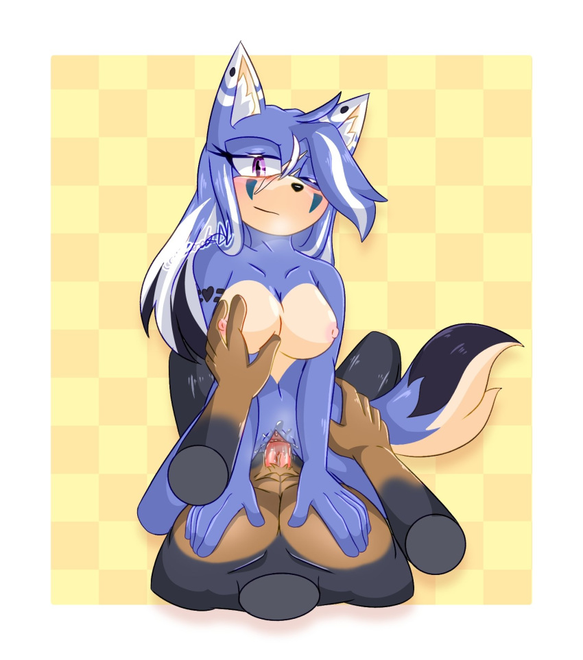 Fan Character (Sega) Rule 34 Image
