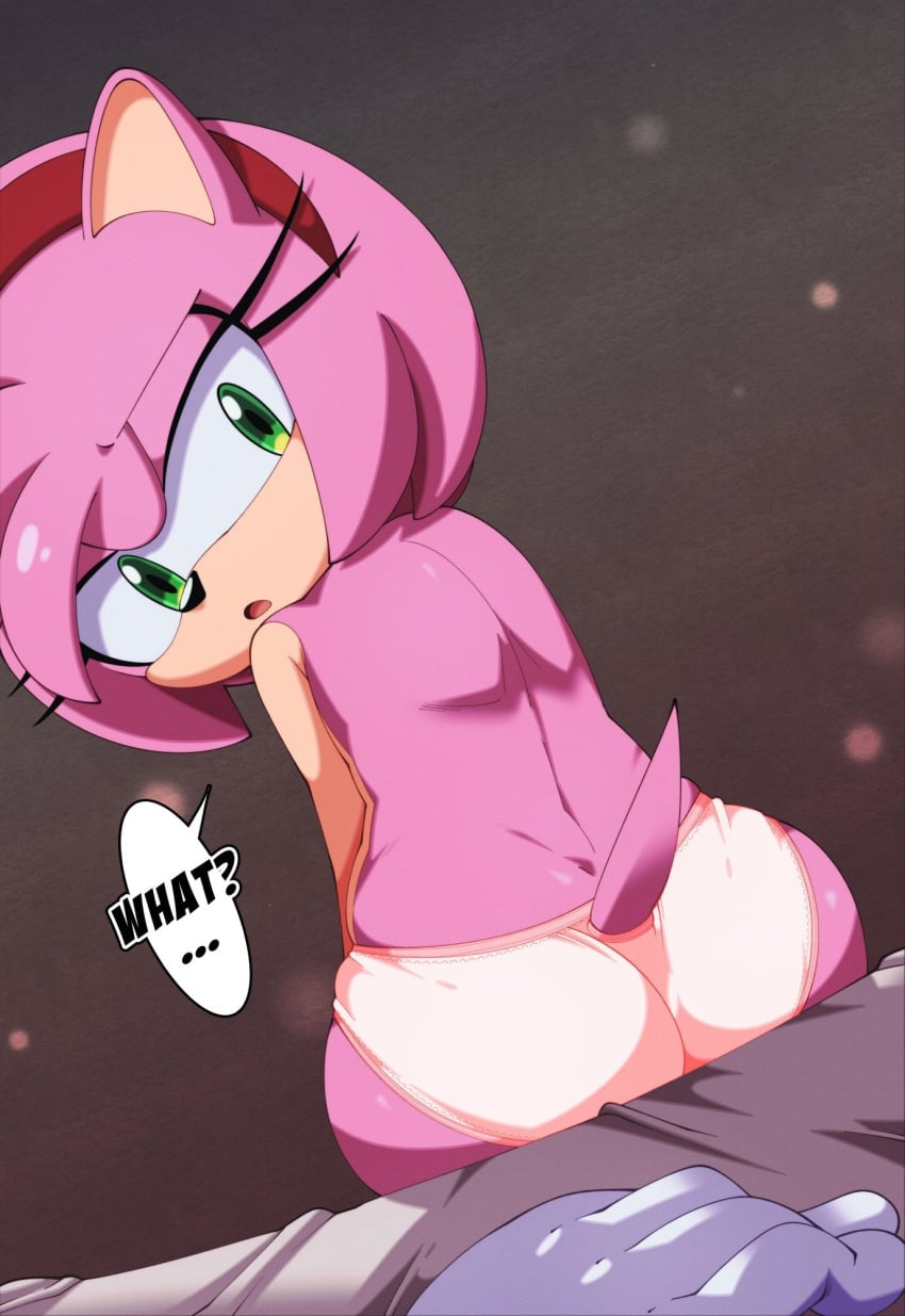 Sonic The Hedgehog (Series) Rule 34 Image