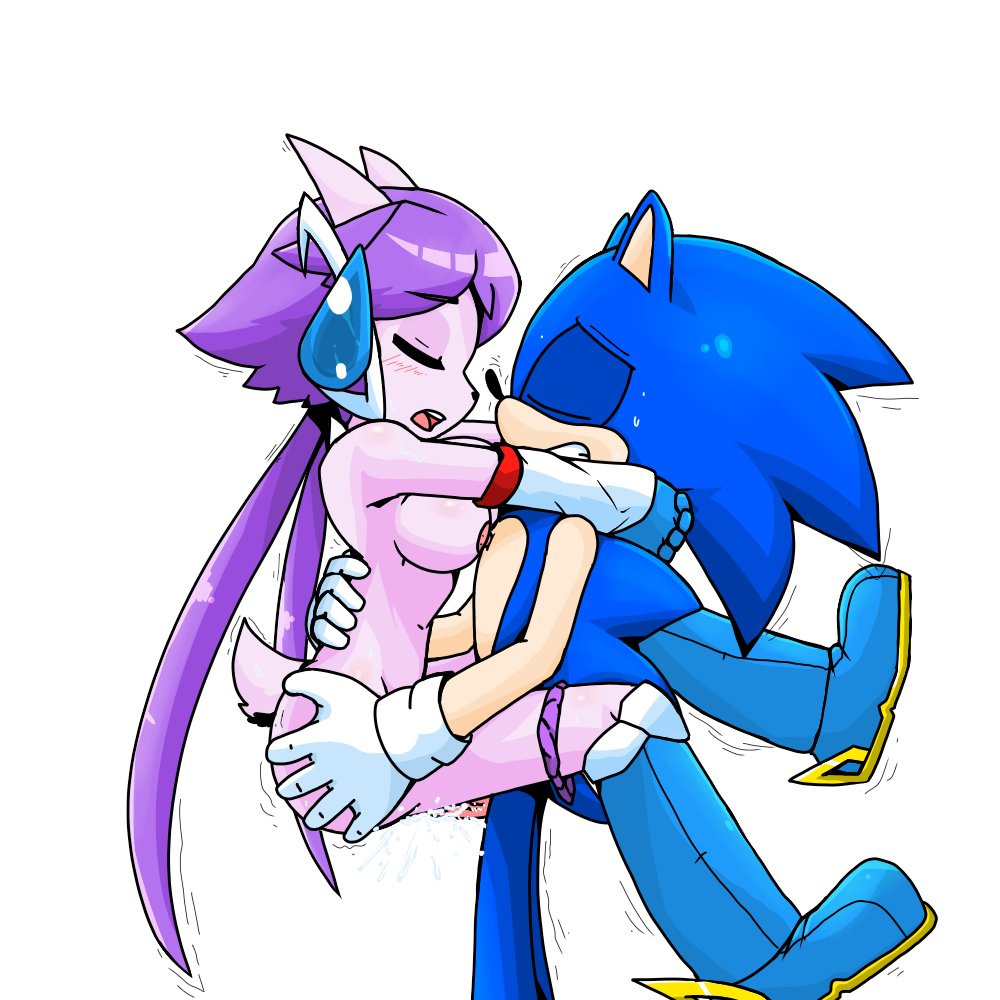Sash Lilac (Freedom Planet) Rule 34 Image