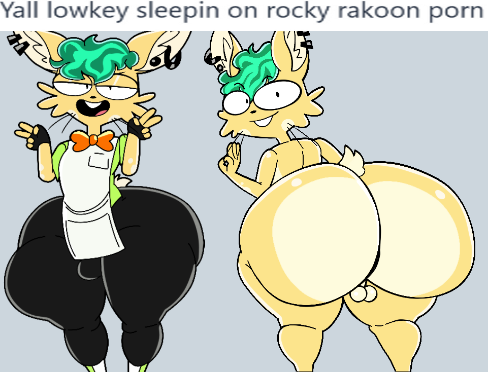 Rocky Rakoon Rule 34 Image