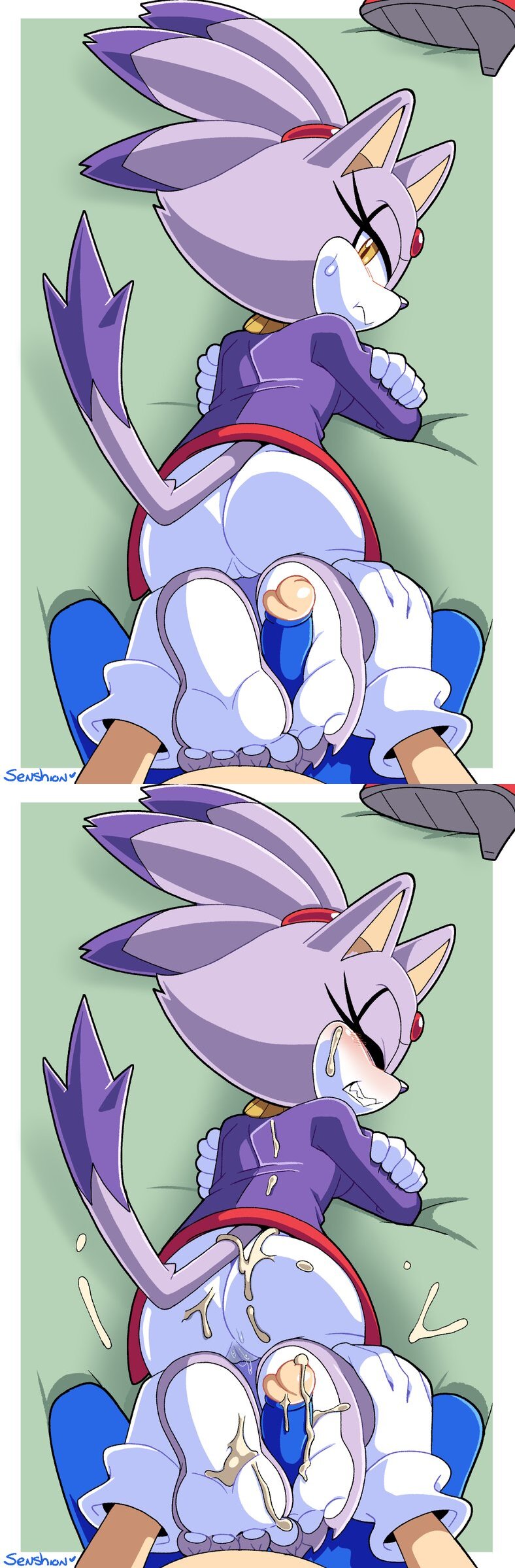 Sonic (Series) Rule 34 Image