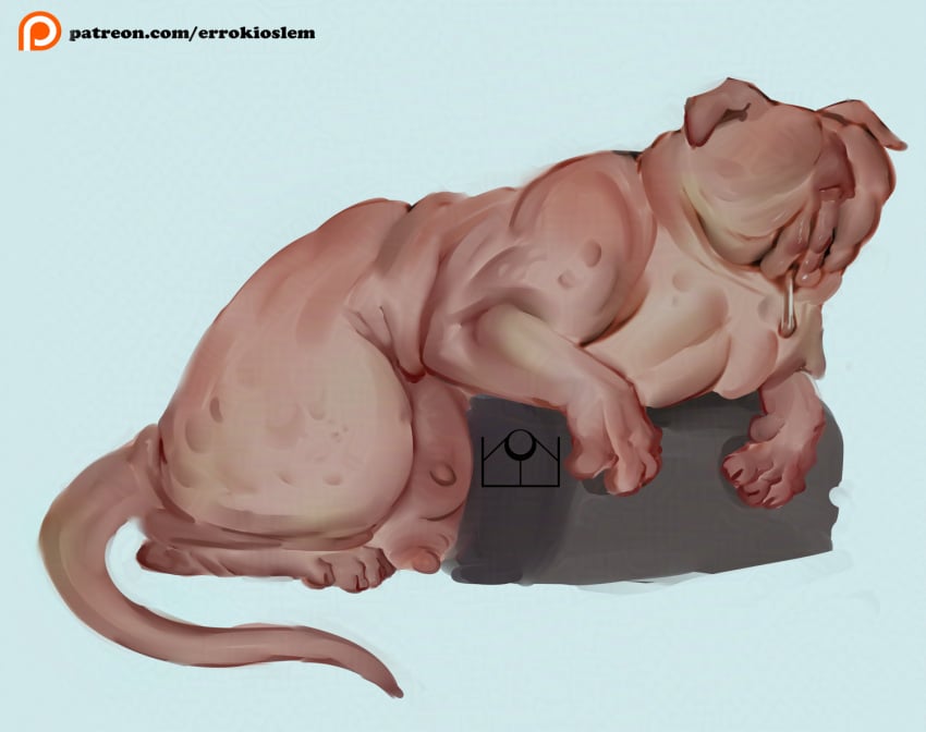 Sphynx (Cat) Rule 34 Image