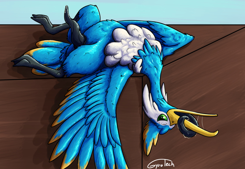 Cramorant (Nintendo) Rule 34 Image