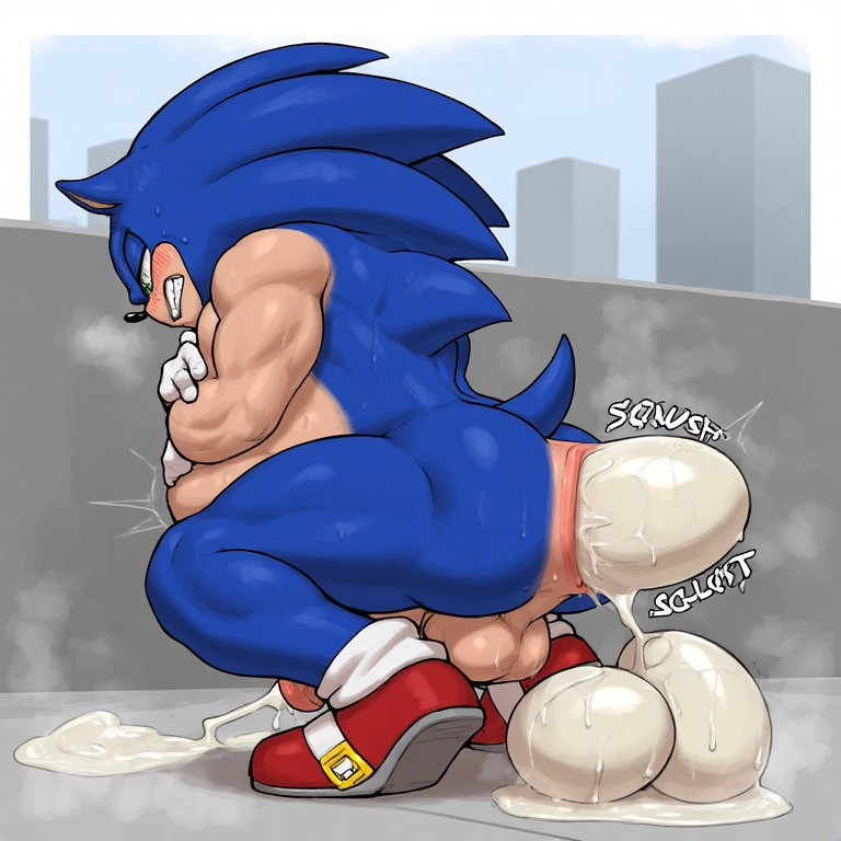 Sonic The Hedgehog (Sega) Rule 34 Image