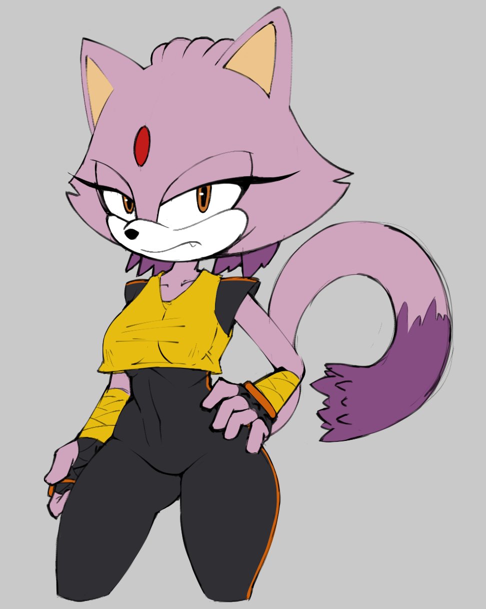 Blaze The Cat (Sega) Rule 34 Image