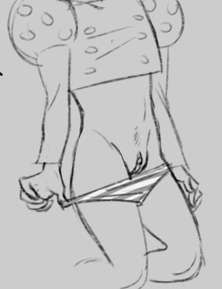 Road (One Piece) Rule 34 Image