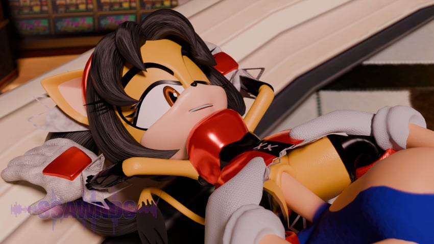Honey The Cat (Sega) Rule 34 Image
