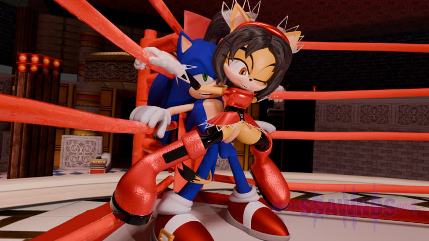 Honey The Cat (Sega) Rule 34 Image