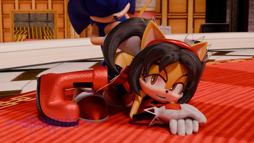 Honey The Cat (Sega) Rule 34 Image
