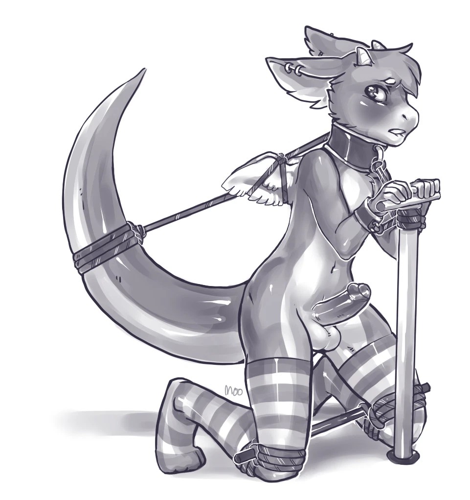 Anthro Rule 34 Image
