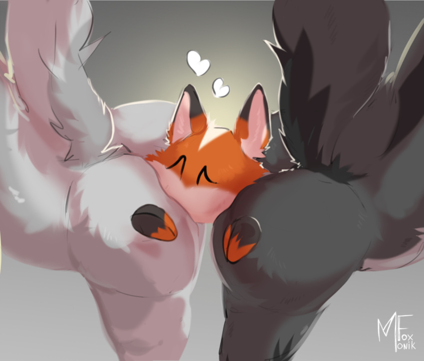 Anthro Rule 34 Image