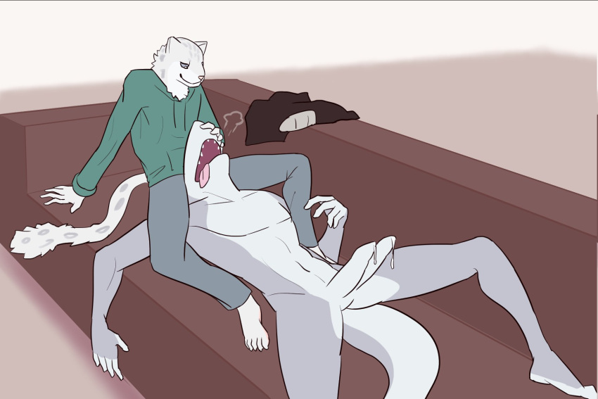 Joey (Joeyjazz) Rule 34 Image