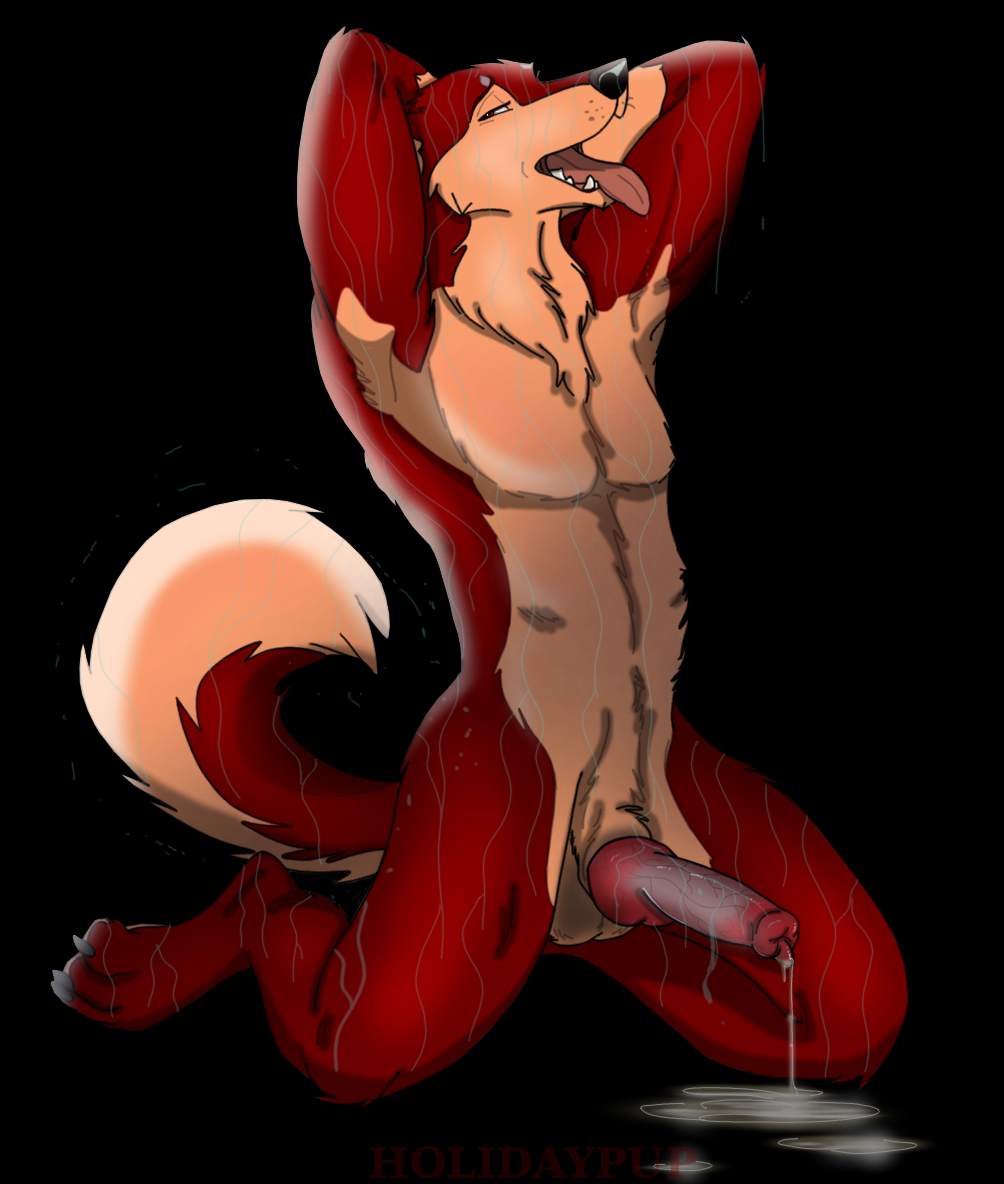 Animal Genitalia Rule 34 Image
