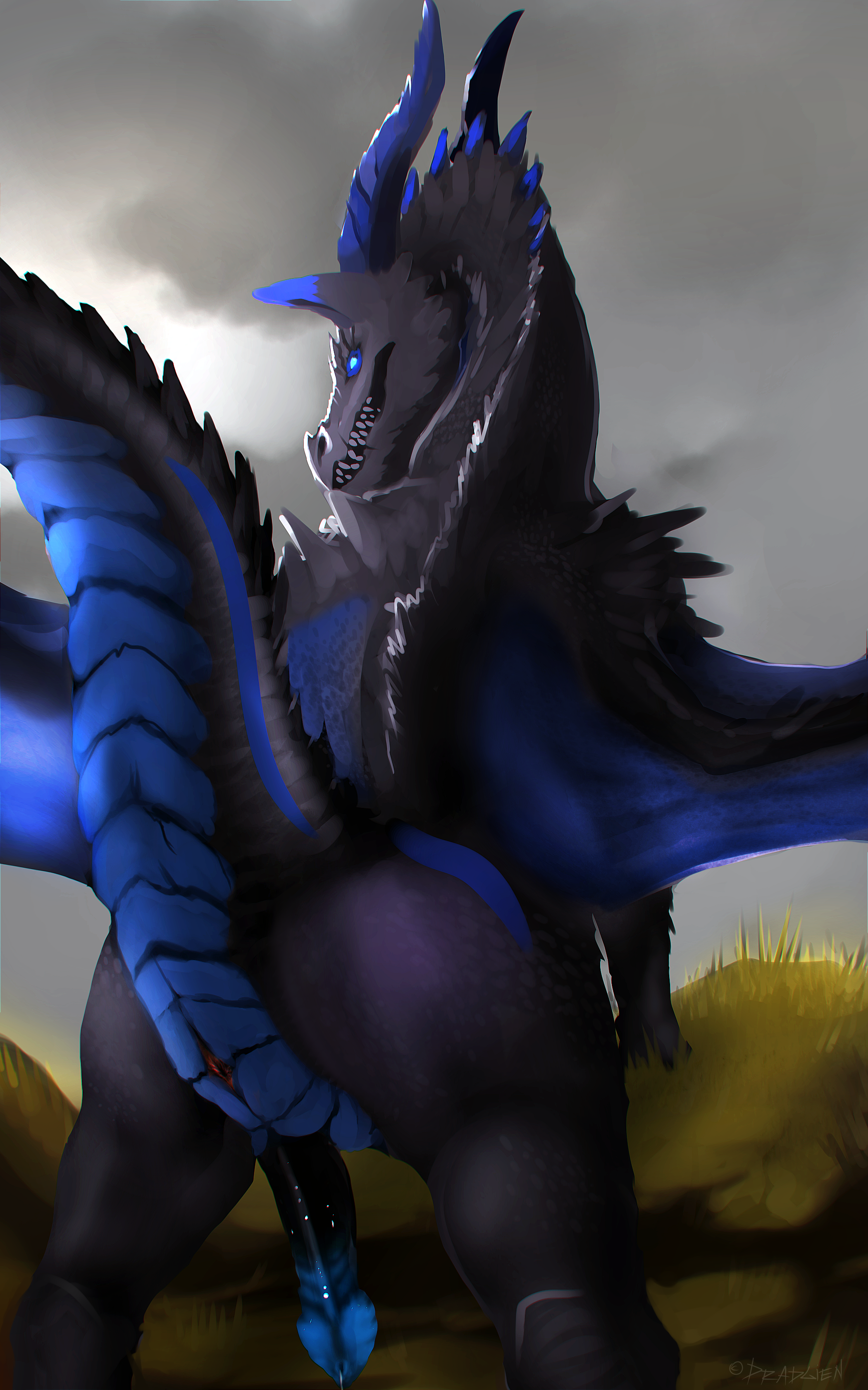 Zarizav Rule 34 Image