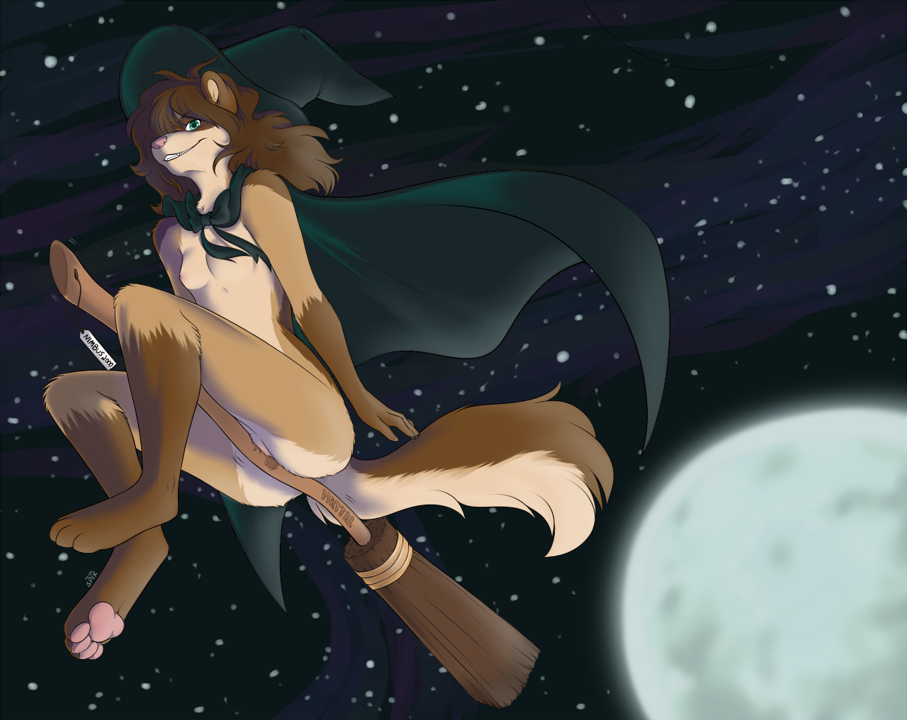 Airborne Rule 34 Image