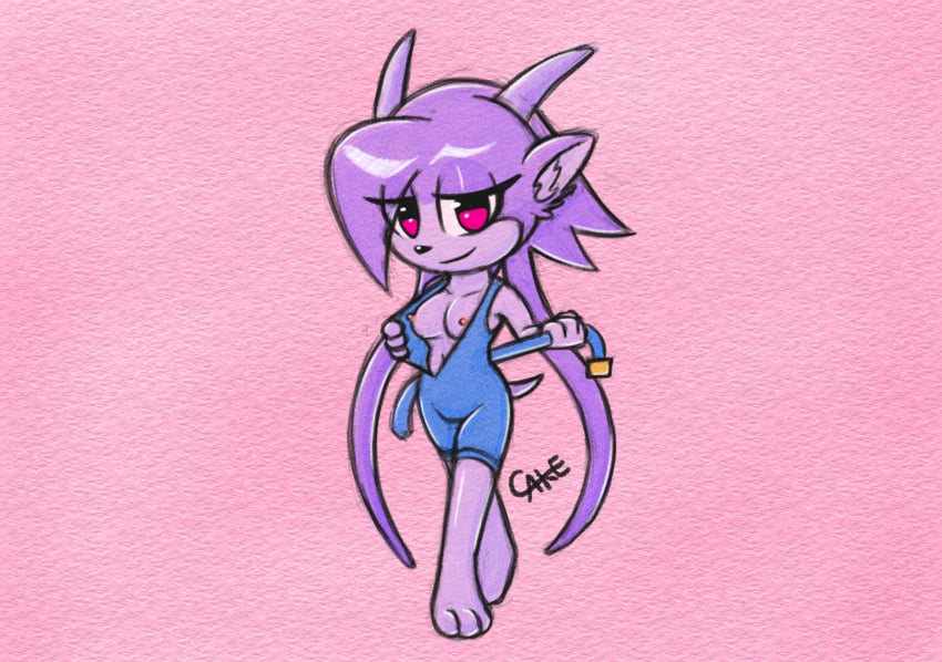 Sash Lilac (Freedom Planet) Rule 34 Image