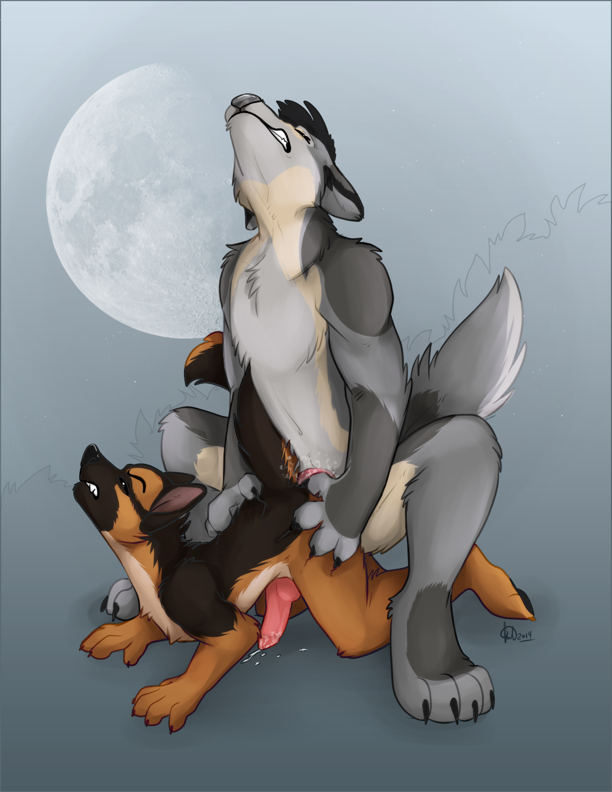 2014 Rule 34 Image