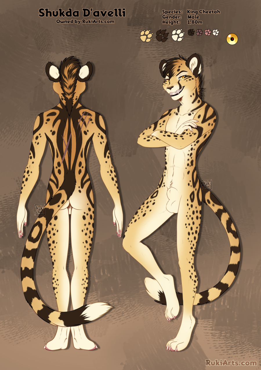 Animal Genitalia Rule 34 Image