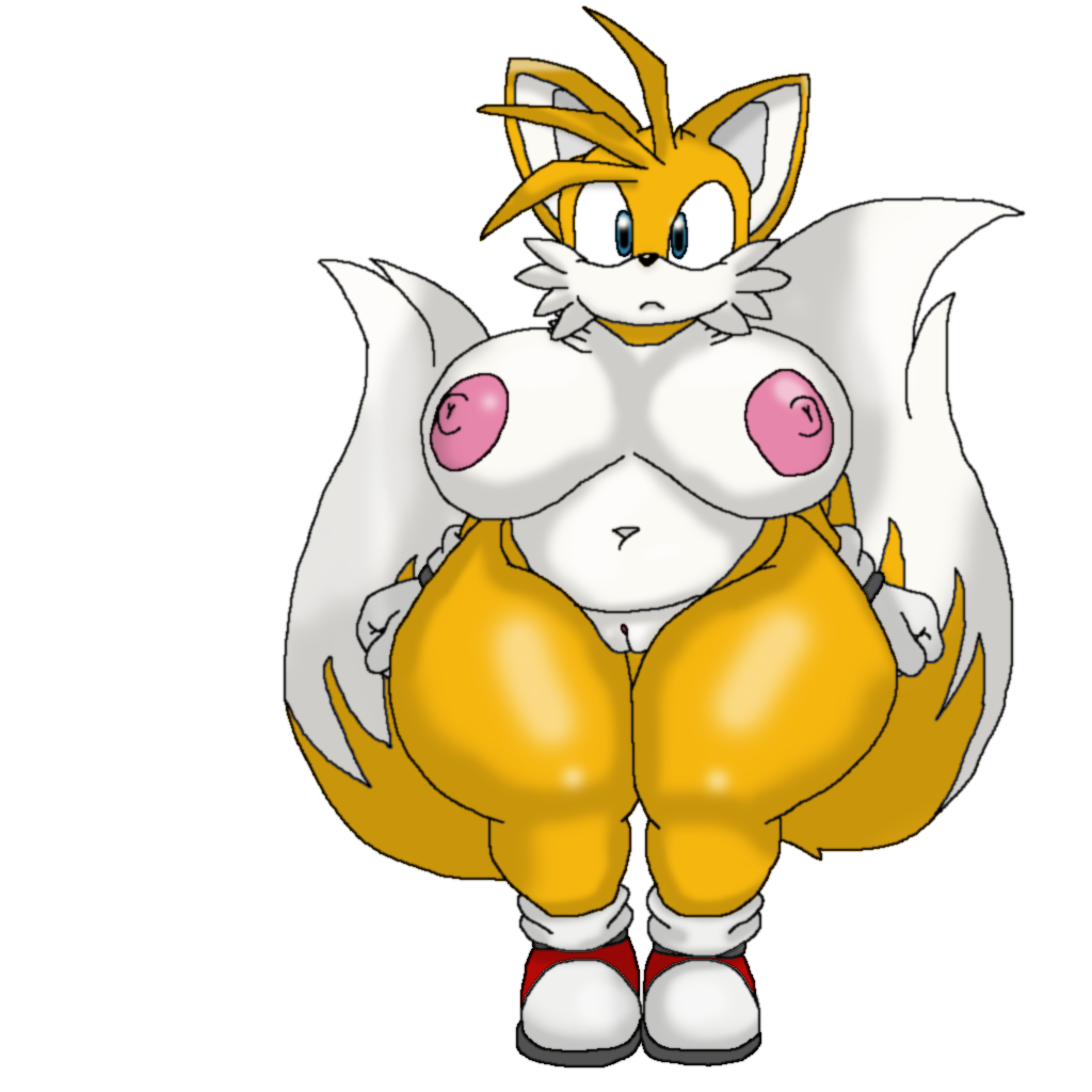 Tails The Fox (Sonic (Series)) Rule 34 Image