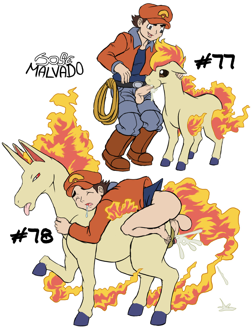 Npc Trainer (Nintendo) Rule 34 Image