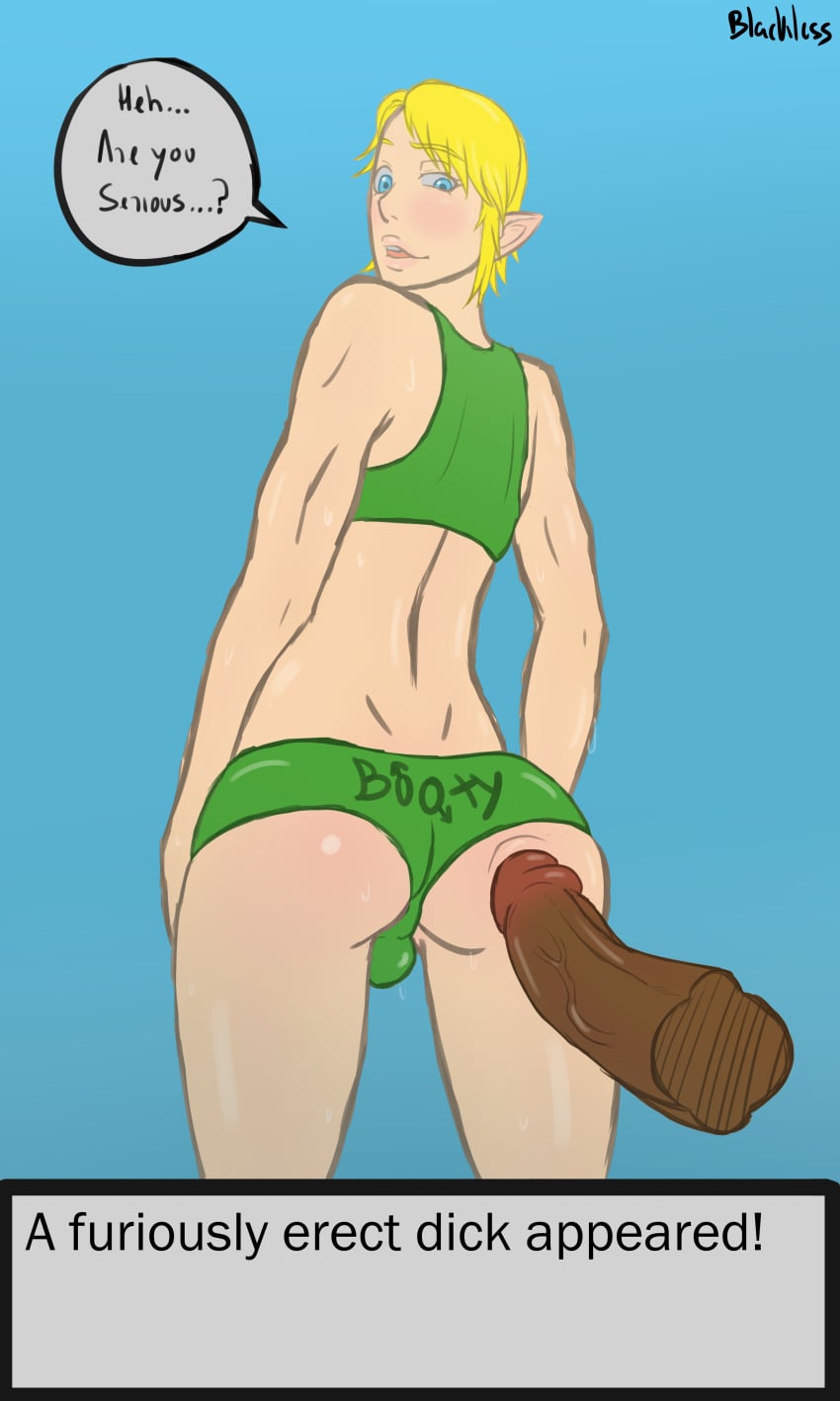 Link (Nintendo) Rule 34 Image