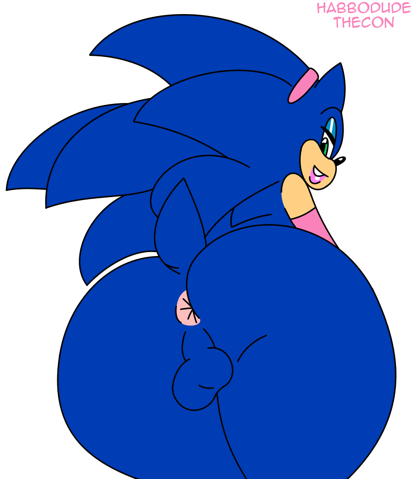 Sonic The Hedgehog (Sega) Rule 34 Image